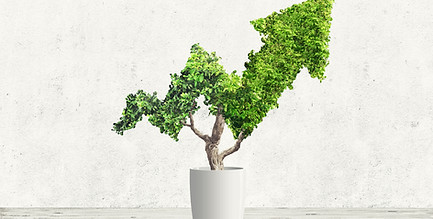 ESG Advisory